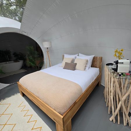 La Bulle Perchee De Chantilly 구비외 외부 사진